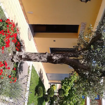 Cortese Pomezia