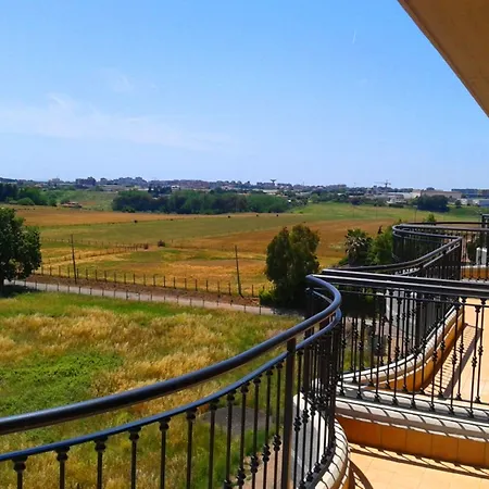 Cortese 포메지아